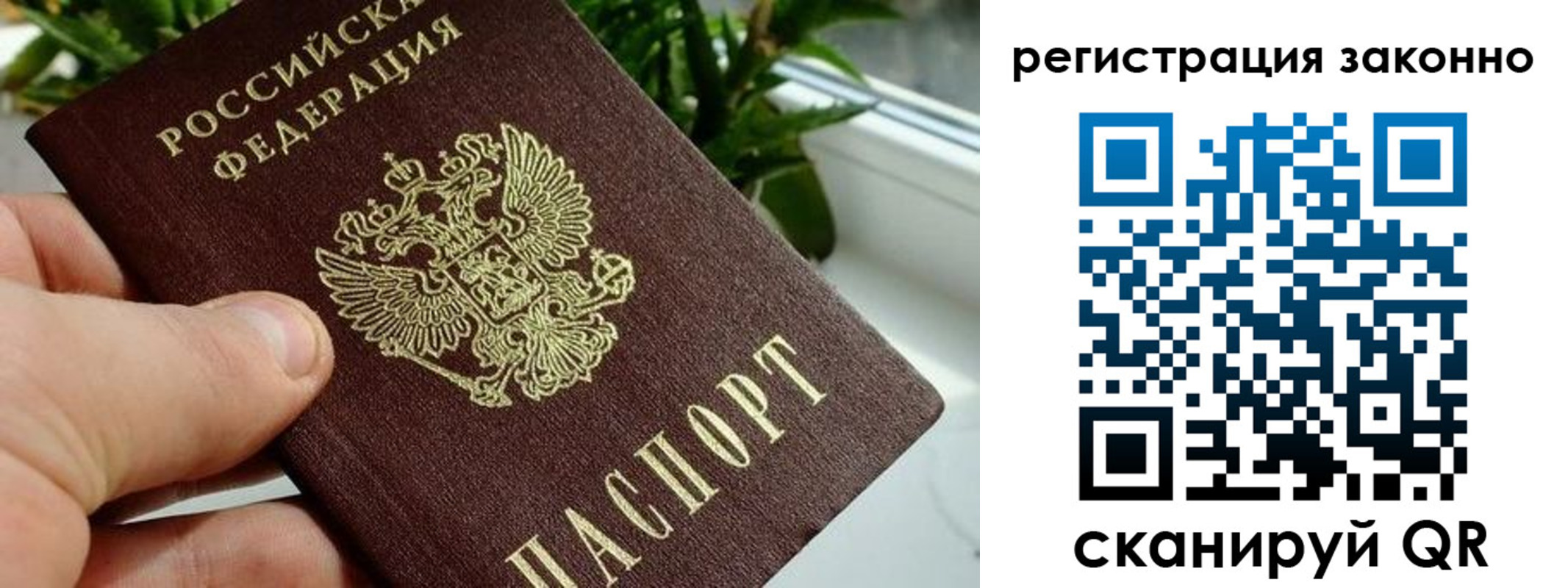 прописка гарантия в Кондопоге